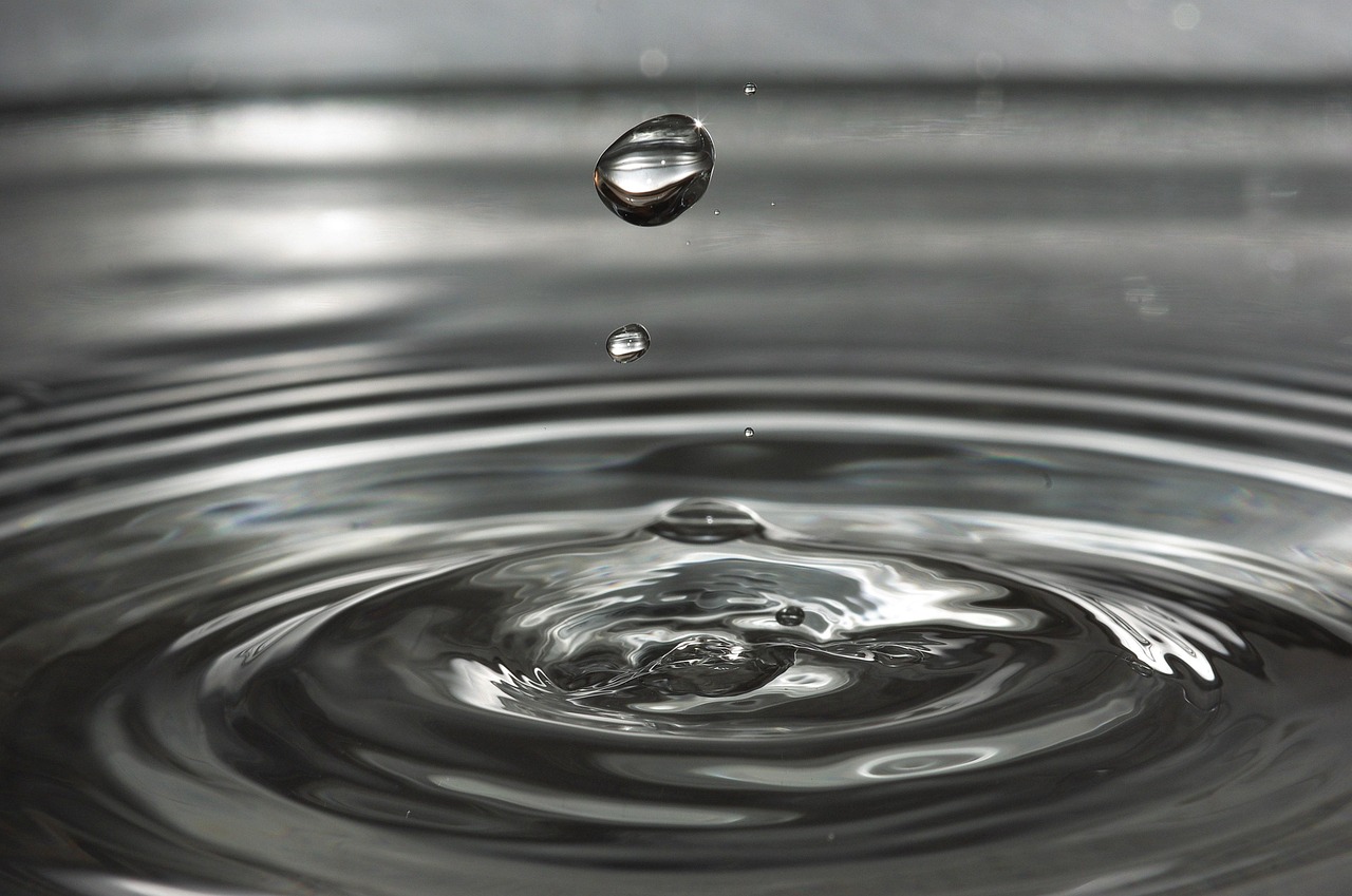 Summer Watering Strategy: How Much, How Often, and Why It Matters More Than You Think